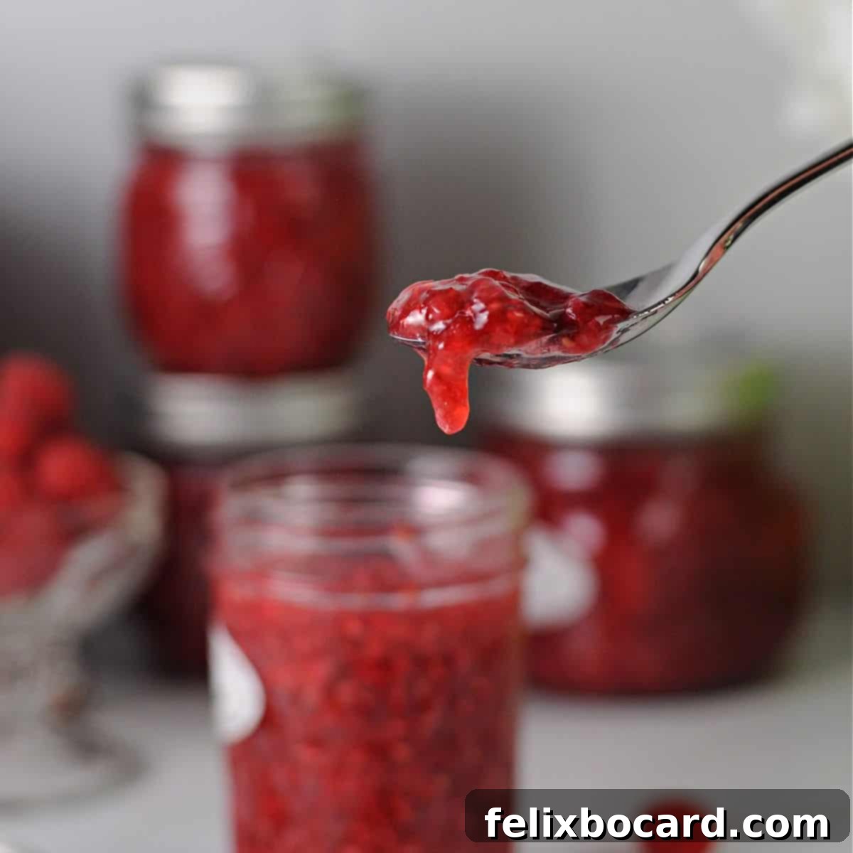 Homemade Reduced Sugar Raspberry Freezer Jam 1 featured 15564