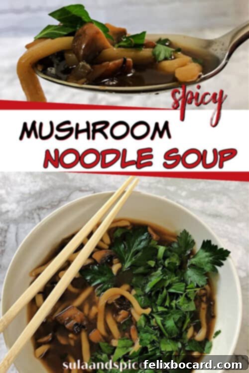 pin for spicy mushroom noodle soup