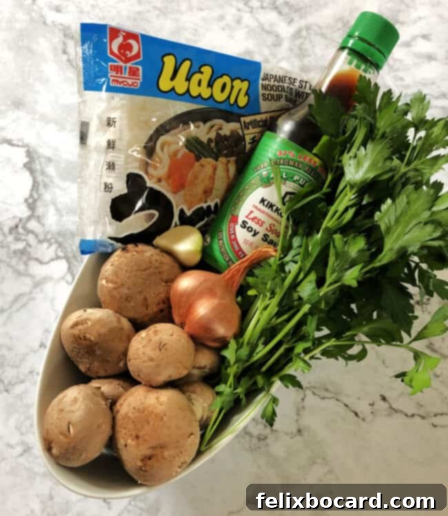 ingredients for soup: mushrooms, noodles, shallot, garlic, soy sauce, fresh herbs