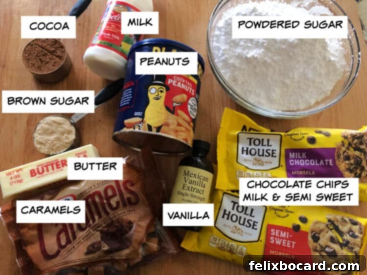 Close-up shot of key Snickers fudge ingredients laid out: cocoa powder, milk, powdered sugar, whole salted peanuts, chocolate chips (both semi-sweet and milk chocolate), vanilla extract, butter, brown sugar, and unwrapped caramels, emphasizing freshness and quality.