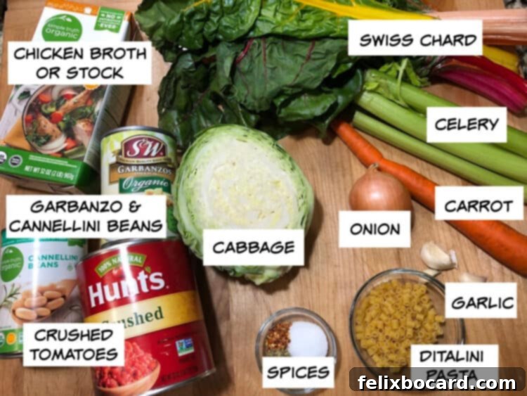 ingredients: swiss chard, chicken broth, celery, onion, carrot, garlic, pasta, spices, cabbage, tomatoes and beans