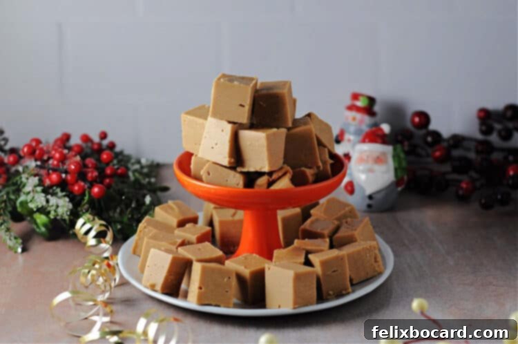 Spiced Speculoos Fudge 3 biscoff fudge ready to be served