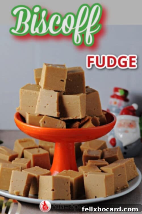 Spiced Speculoos Fudge 4 pin for Biscoff fudge