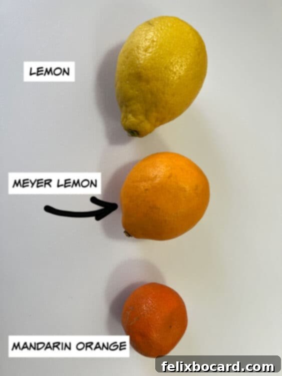 regular lemon, meyer leamon and a mandarin orange.