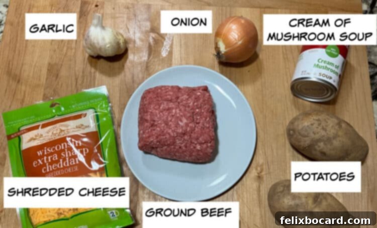 ingredients: ground beef, potatoes, cream of mushroom soup, onion, garlic and cheese.