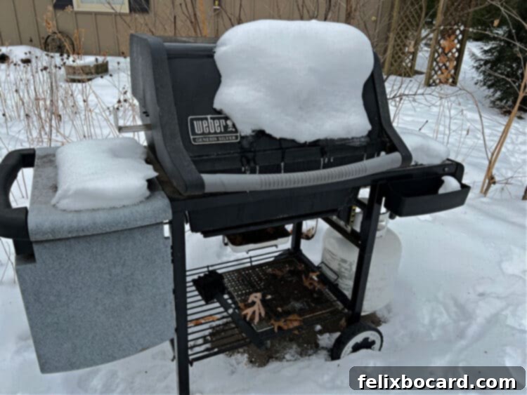 A barbecue grill covered in snow, illustrating the challenges of winter grilling.
