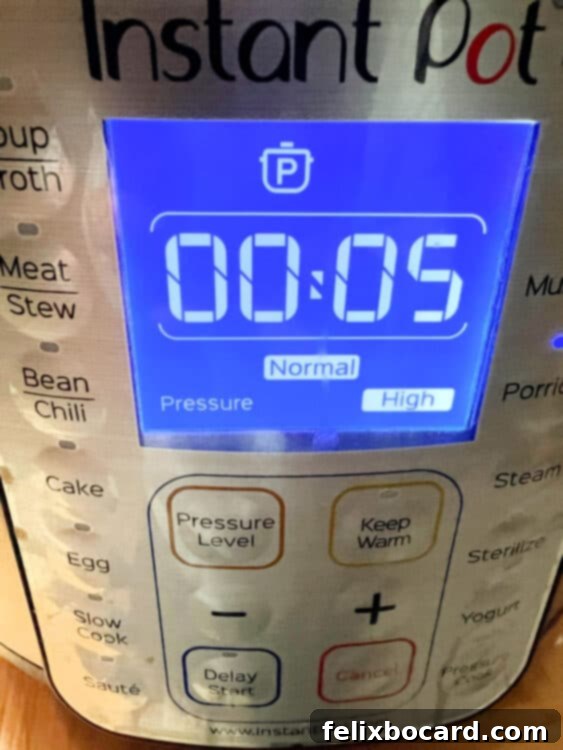 Instant Pot cycle set for 5 minutes