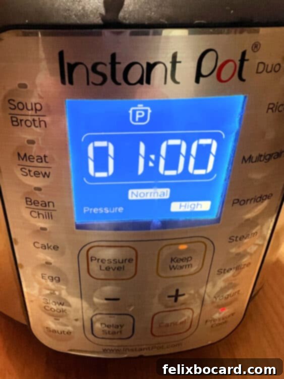 Timer set to 60 minutes (1 hour).