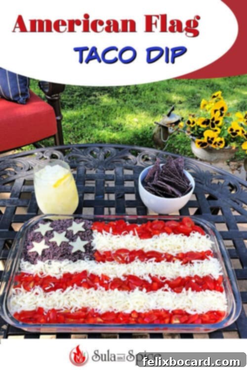 American Flag Taco Dip Pin