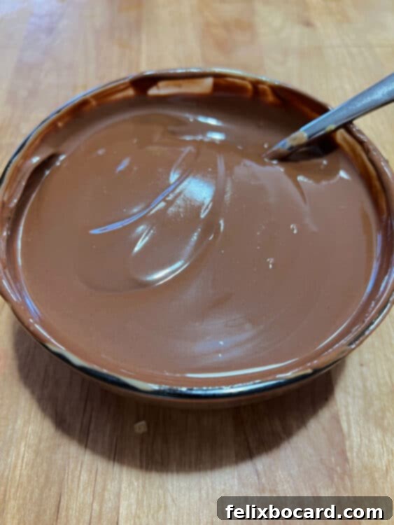 A smooth, glossy chocolate-peanut butter mixture in a glass bowl, ready to be spread.
