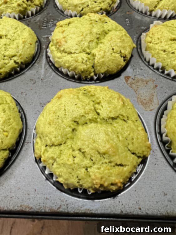 Batch of freshly baked matcha green tea muffins cooling down in the muffin pan, with a few already removed.