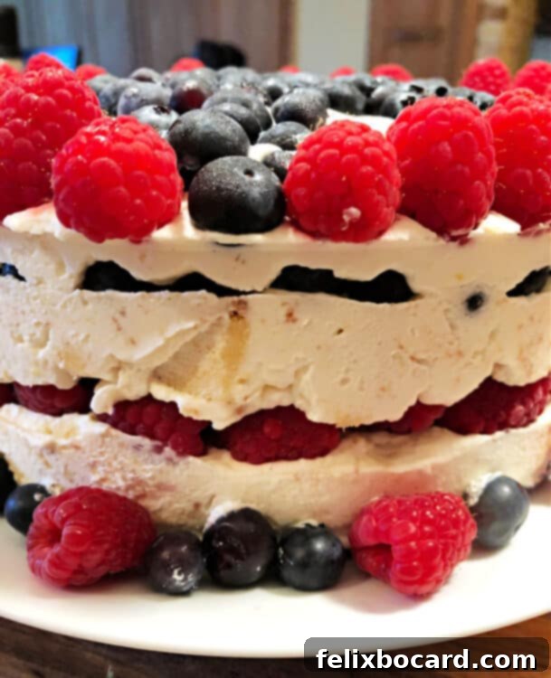 side view of torte showing layers of red white and blue