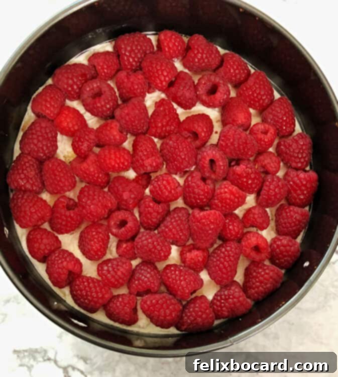 top down view of raspberry layers in torte pan