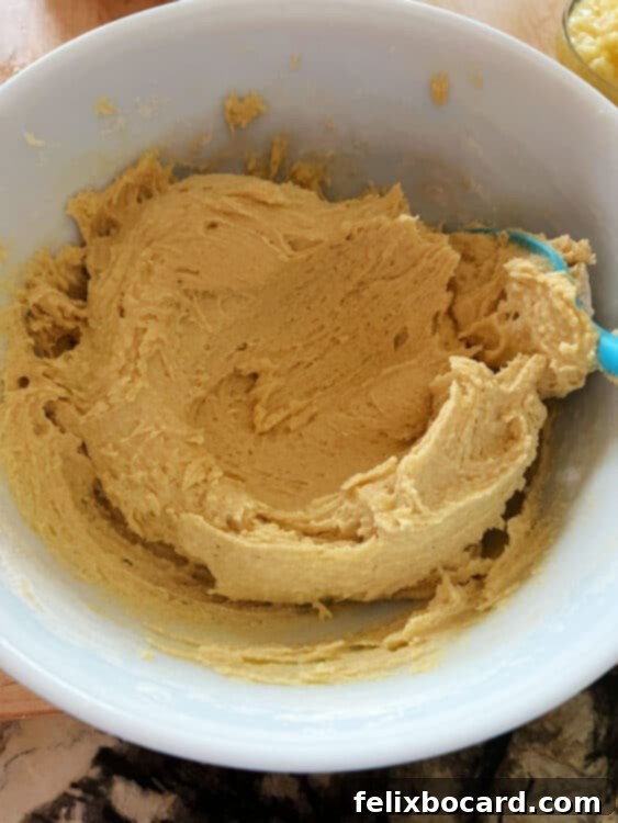 batter of wet and dry ingredients mixed.