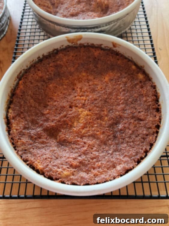baked old fashioned a=carrot cake with pineapple, cooling in the pan.