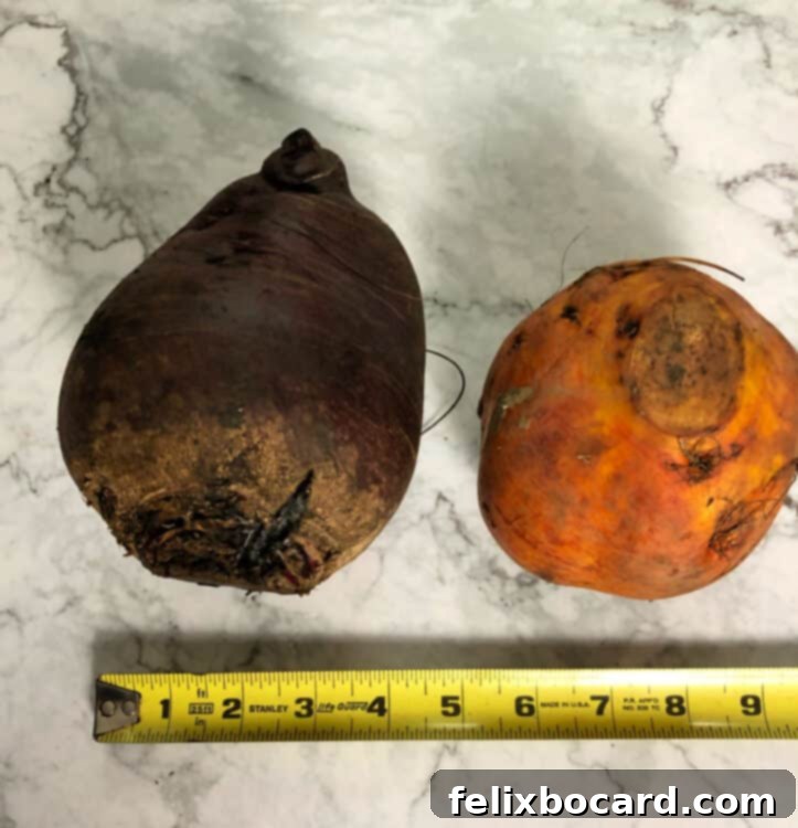 large uncut beets, one red and one golden