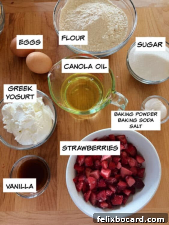 Ingredients: eggs, flour, sugar, canola oil, greek yogurt, vanilla, strawberries, baking powder, baking soda, salt, neatly arranged.