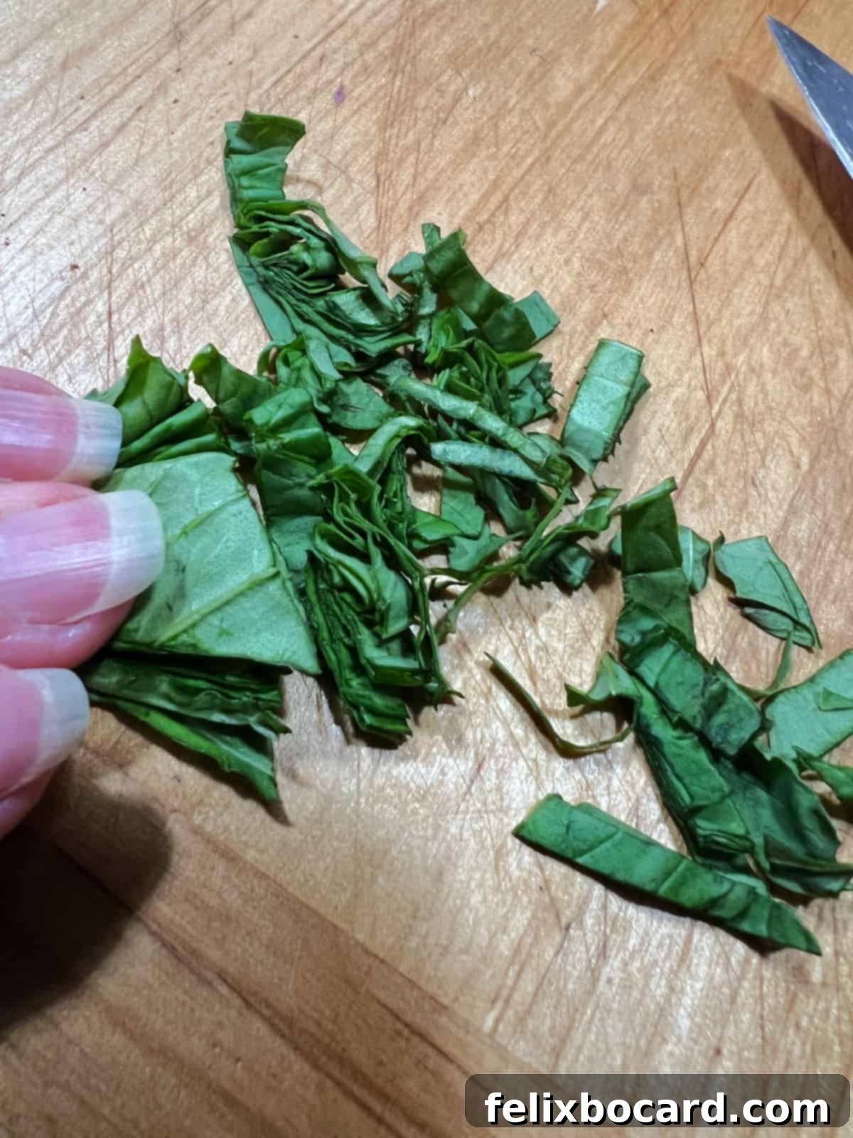 Hands demonstrating cutting fresh basil leaves into thin strips for the salad.