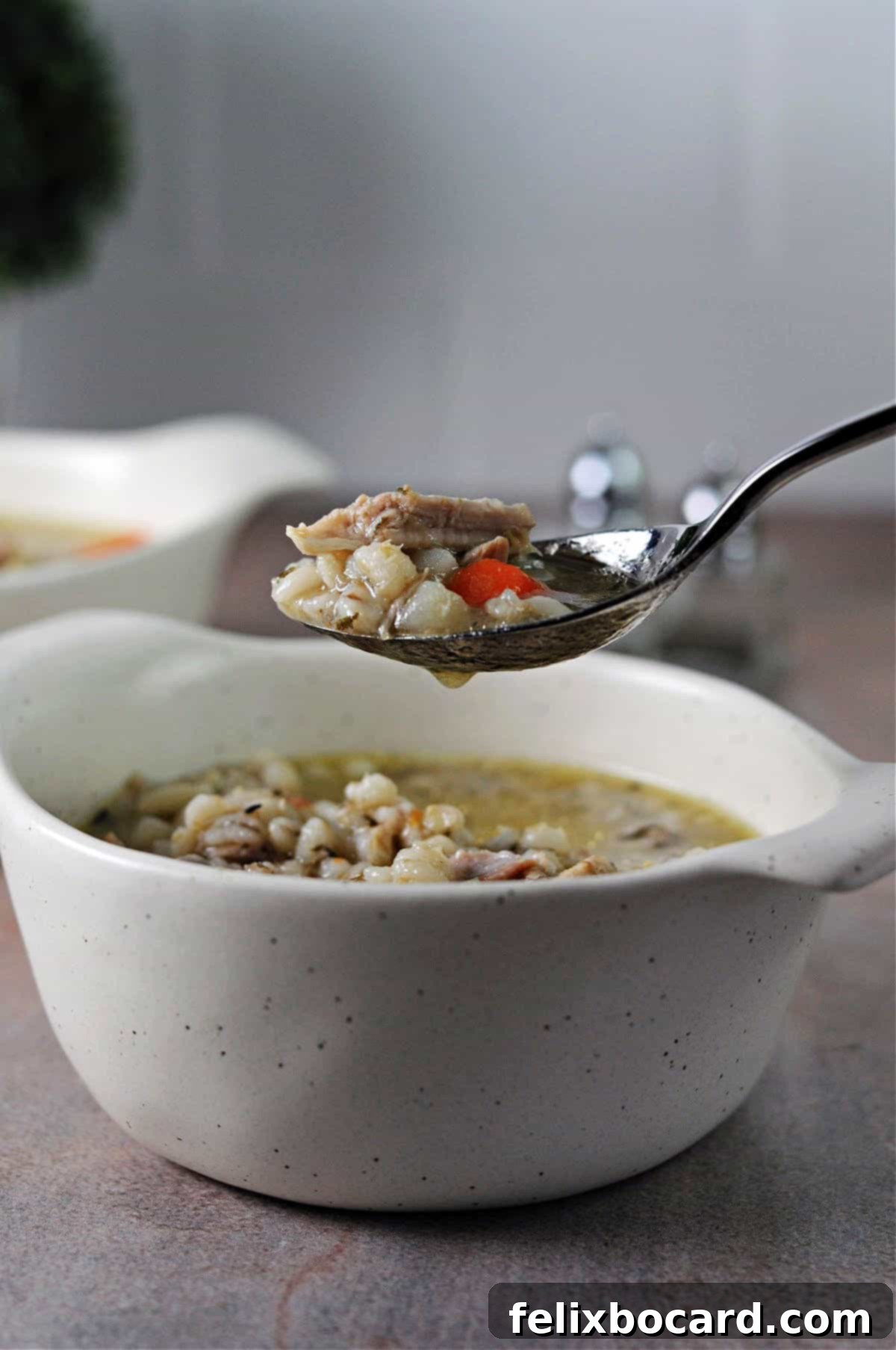 Spoonful of Instant Pot Chicken Barley Soup over a full bowl.