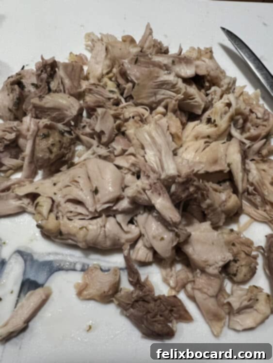 Shredded chicken ready to be added back to the soup.