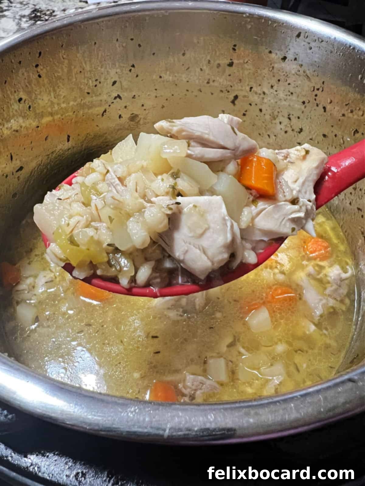Ladle full of chicken barley soup over the Instant Pot.