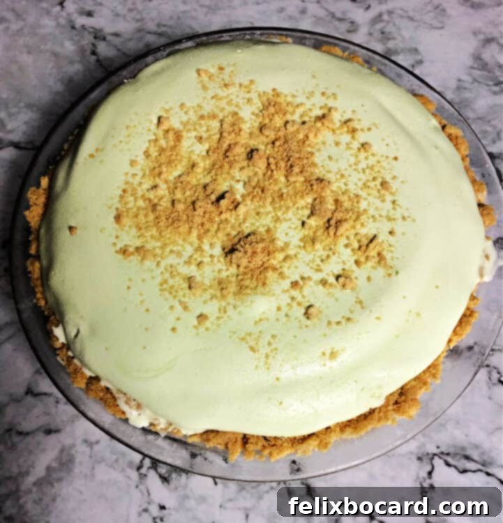 Top-down view of a whole Frozen Tropical Lime Pie, featuring a golden graham cracker crust with a light green, creamy filling, ready to be served on a pristine white surface.