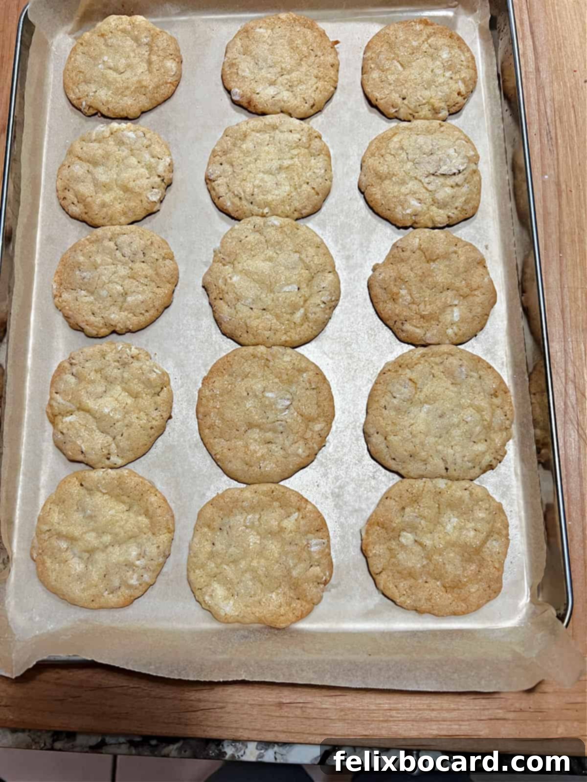 Freshly baked coconut oatmeal cookies cooling on a baking sheet.
