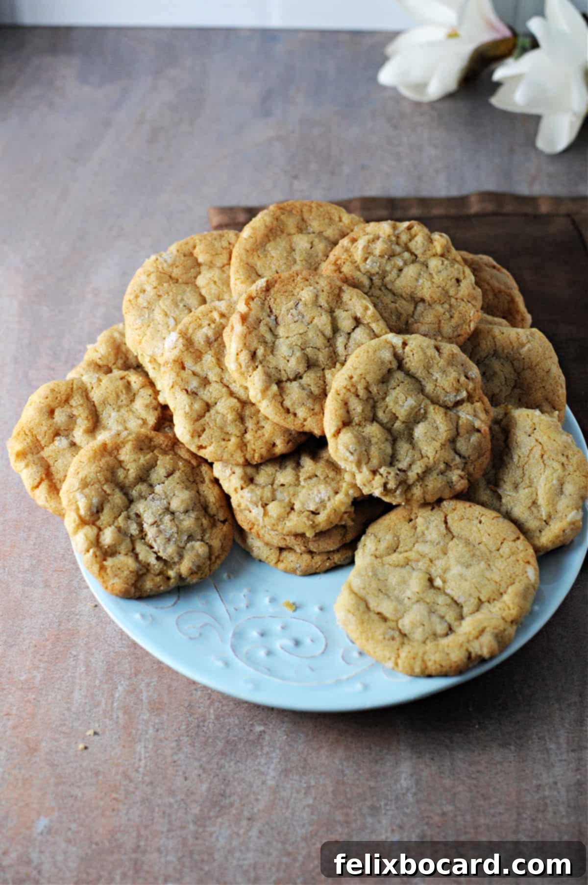 A vibrant red plate piled high with delicious oatmeal coconut cookies, ready to be enjoyed.