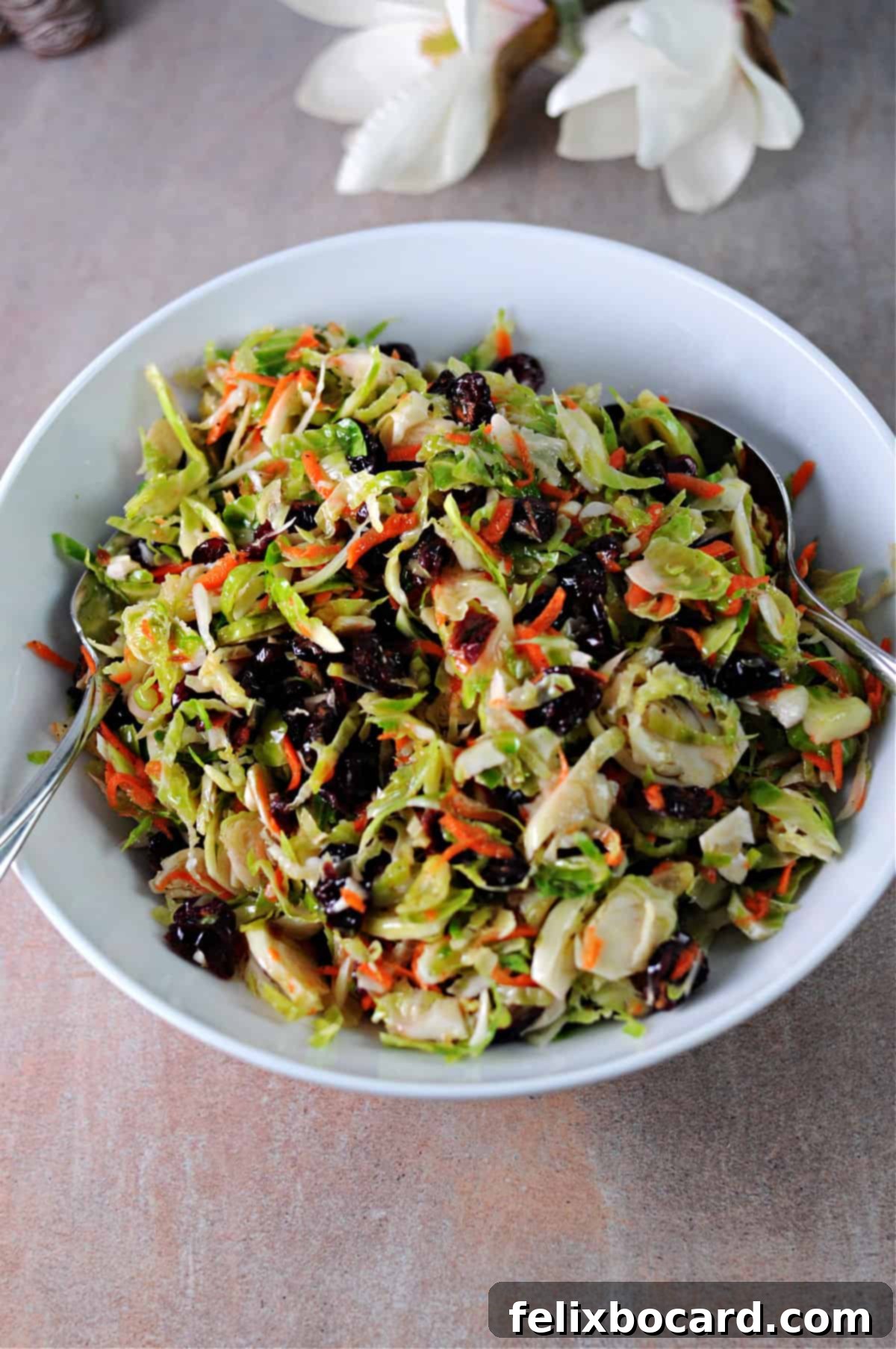 Brussels Sprouts and Cranberry Salad 2 A beautiful bowl of shaved brussels sprouts salad with vibrant red cranberries and shredded carrots, ready to be served as a healthy side dish.