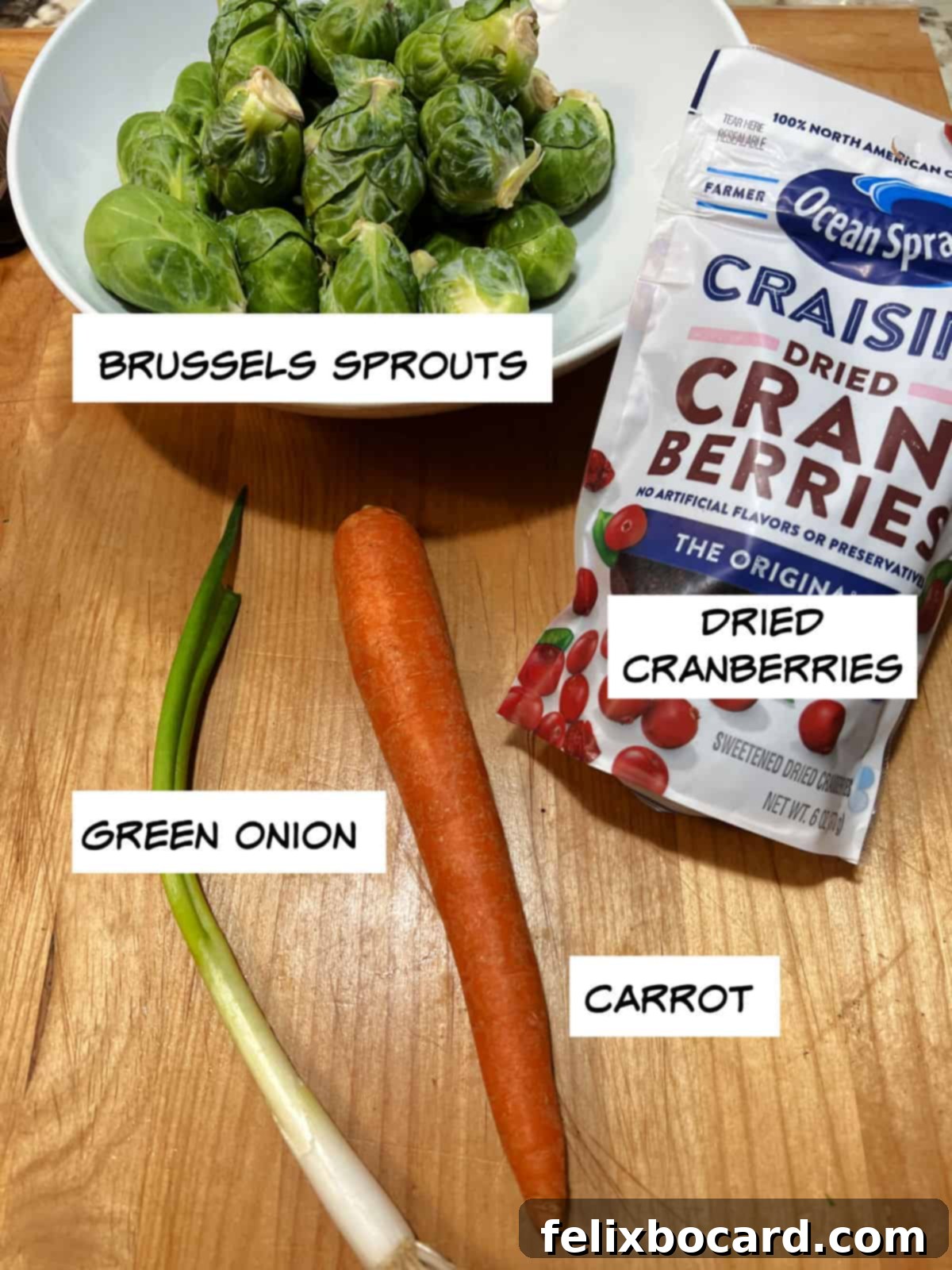 Brussels Sprouts and Cranberry Salad 3 A flat lay image showing fresh ingredients like brussels sprouts, craisins, a whole carrot, and green onion, ready for making a healthy and delicious salad.