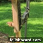 Finished bird suet cake