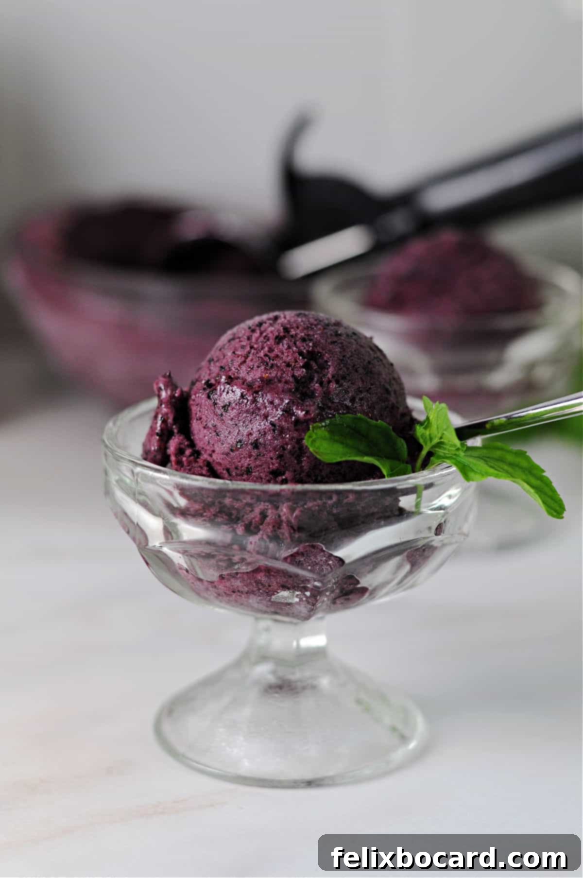 Blueberry Mint Nice Cream served in an elegant dessert glass, garnished with a fresh sprig of mint, highlighting its vibrant color.