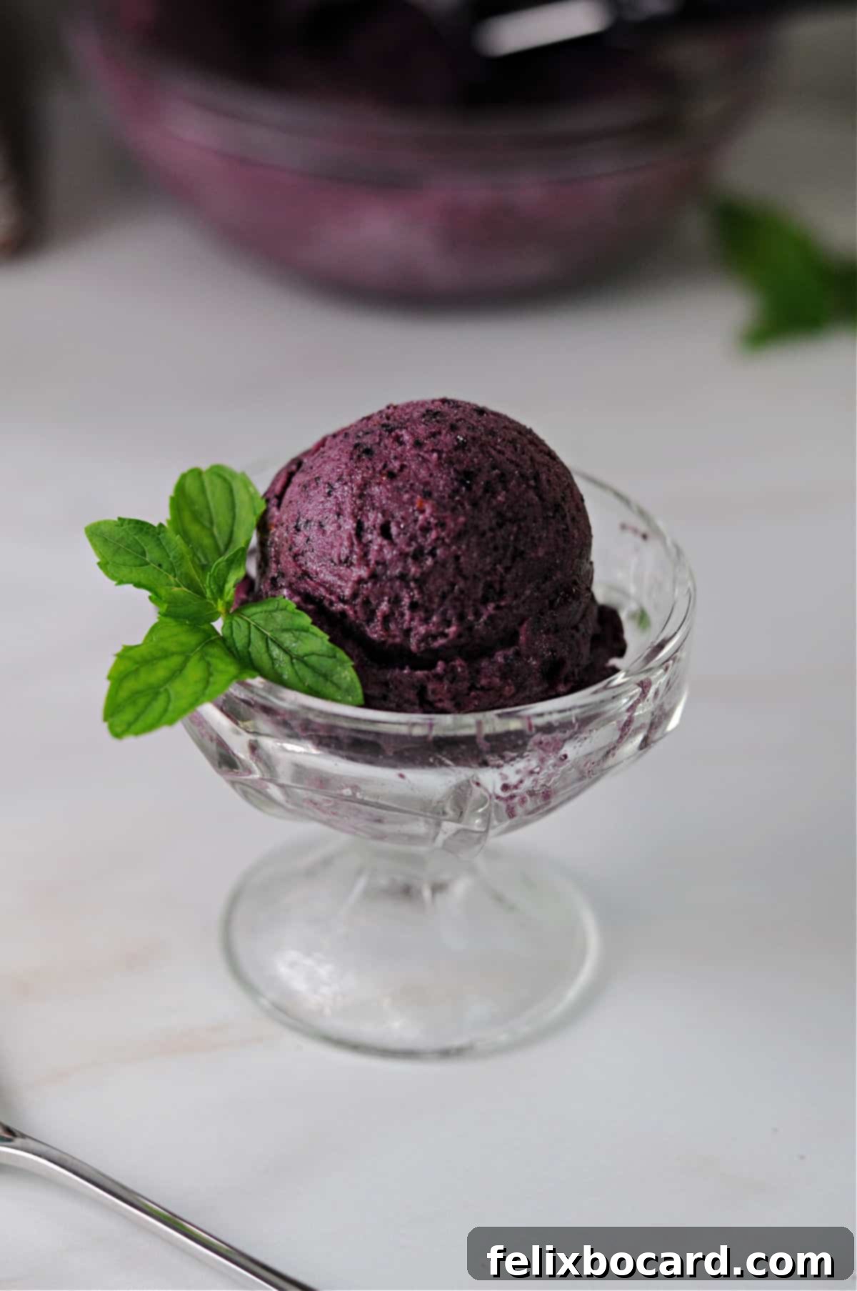 A beautiful scoop of Blueberry Mint Nice Cream presented in a footed dessert glass, elegantly garnished with a sprig of fresh mint.