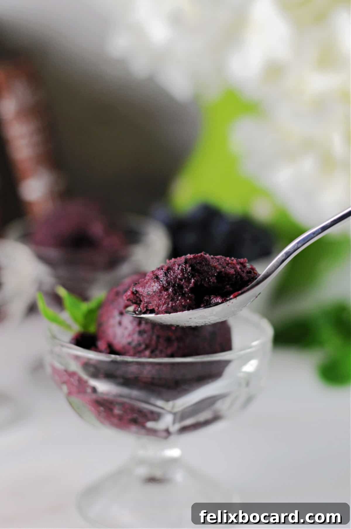 A delightful spoonful of Blueberry Mint Nice Cream, perfectly scooped and ready to be savored, showcasing its creamy texture.