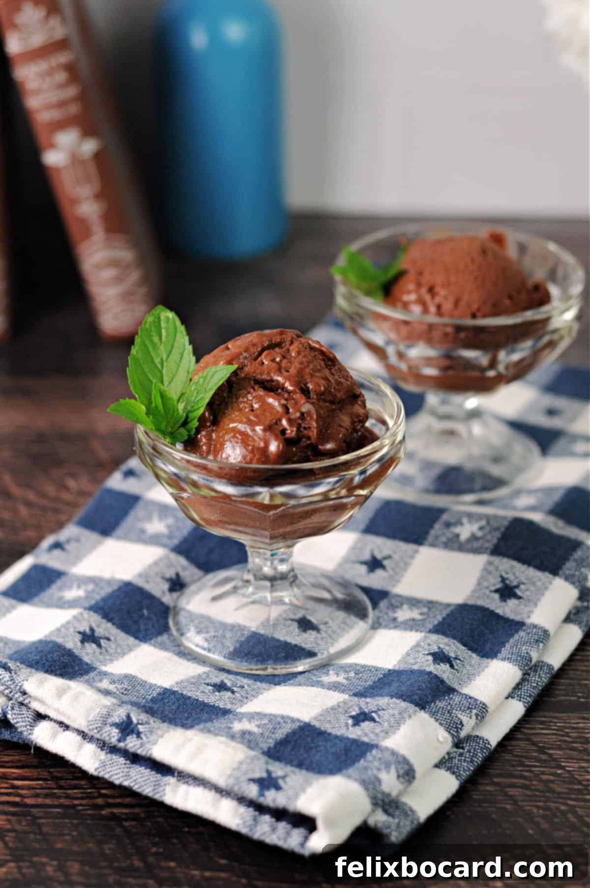 small glass dessert dish with a scoop of chocolate nice cream garnished with mint.