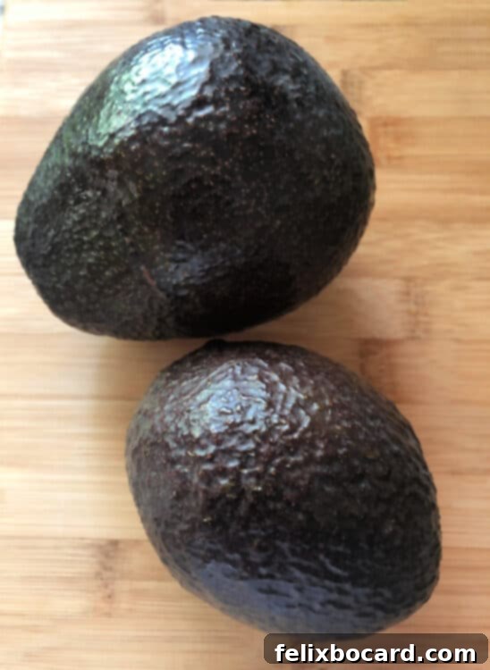 Two days later: a large avocado showing significant ripening