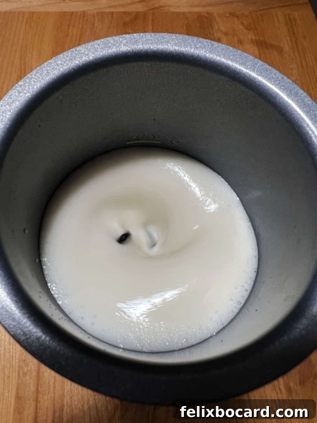 almond milk in a milk frother.