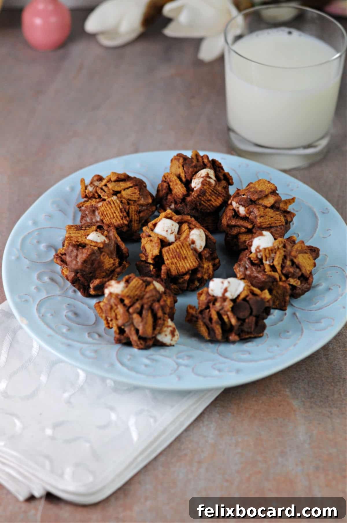 Plate of delightful no-bake s'mores cookies, showcasing their gooey and crunchy texture.