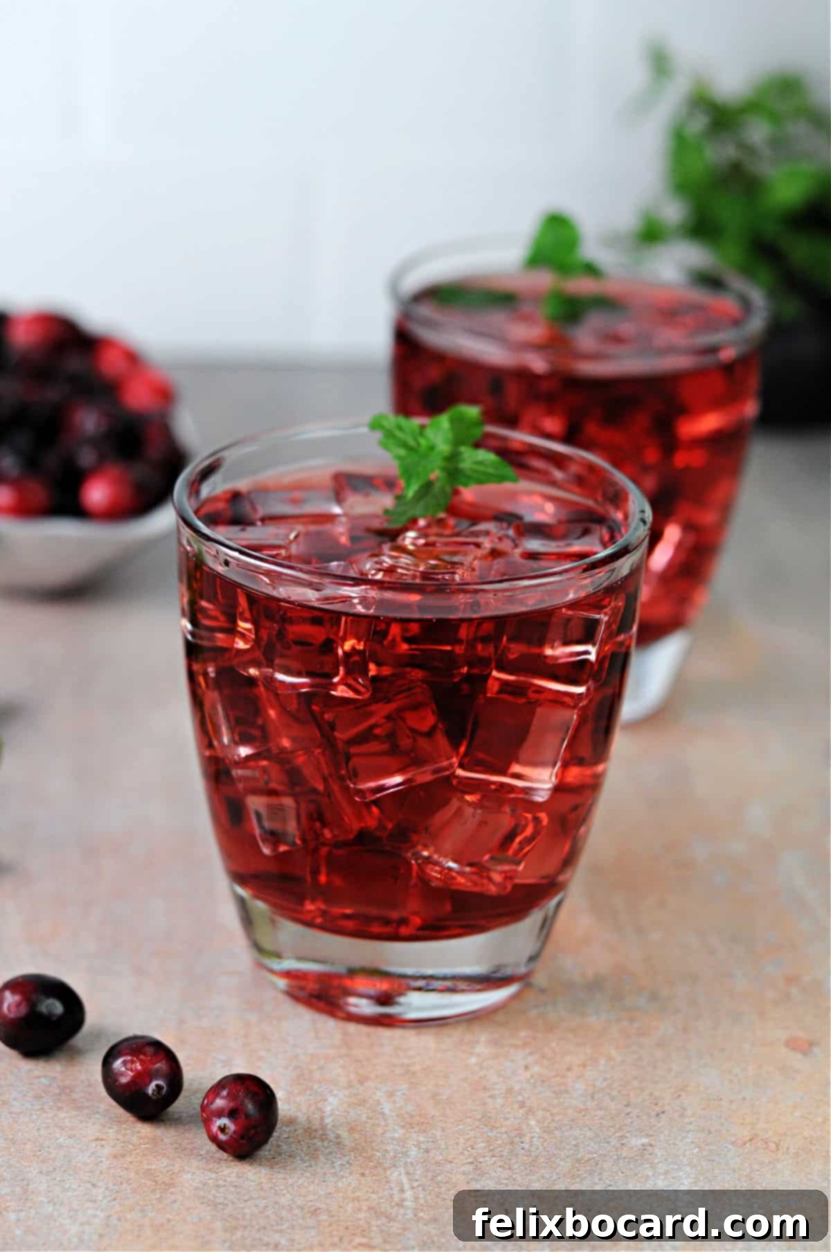 A refreshing glass of cranberry juice, elegantly garnished with a sprig of fresh mint.