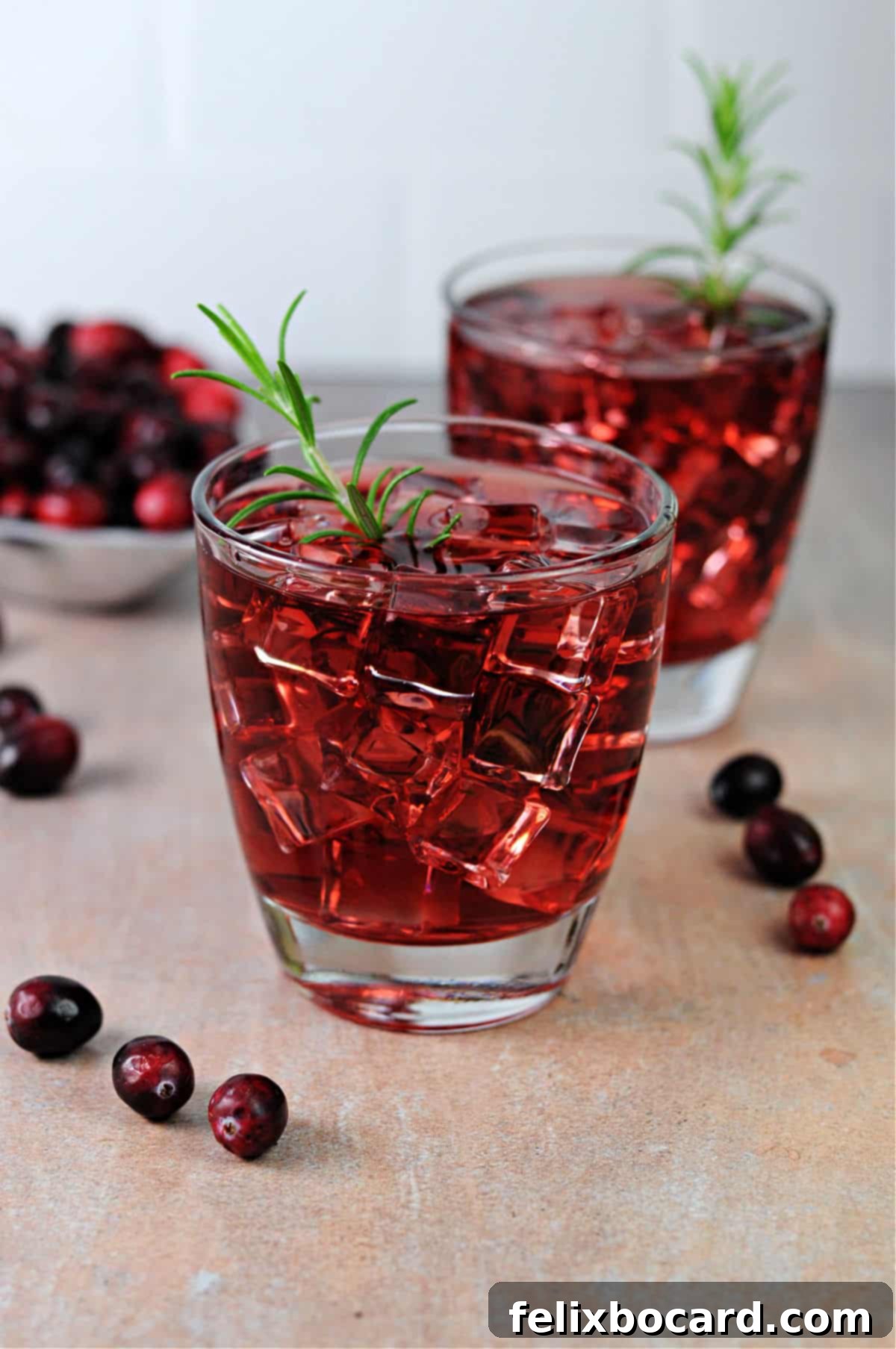 Two elegant glasses of cranberry juice, beautifully garnished with fresh rosemary sprigs, signifying sophistication and natural goodness.