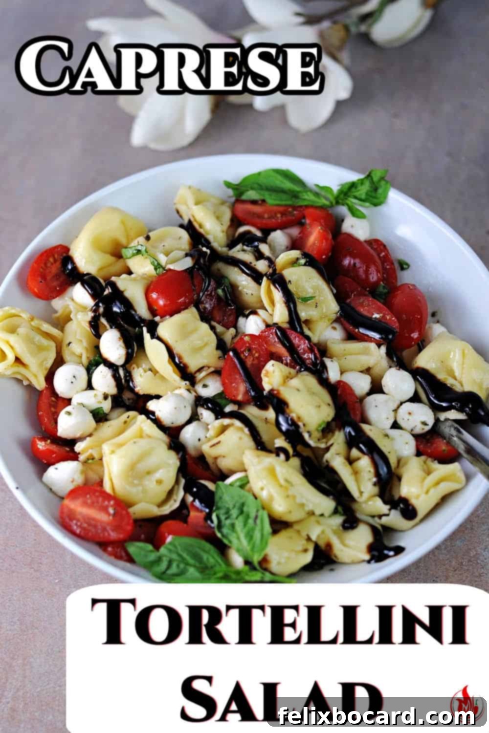 Vibrant Caprese Tortellini Salad 7 A beautiful Pinterest-optimized image for Caprese Tortellini Salad, perfect for saving and sharing this delicious recipe.