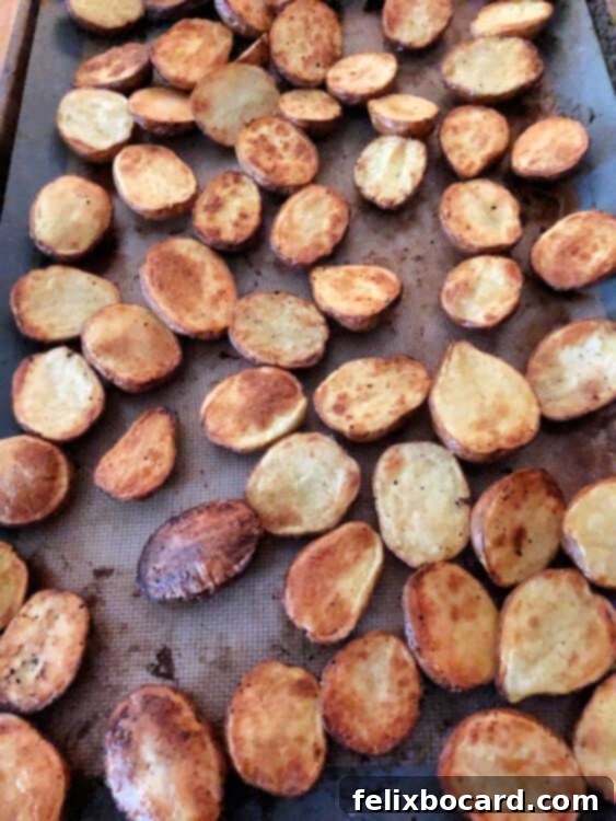 Roasted baby potatoes on a baking sheet, golden brown and crispy