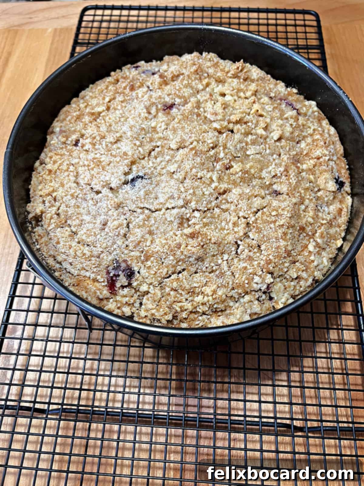 Warm coffee cake in the springform pan, cooling on a wire rack.