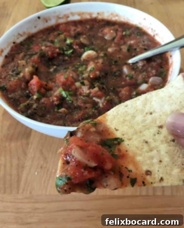 roasted salsa on a chip, bowl in background