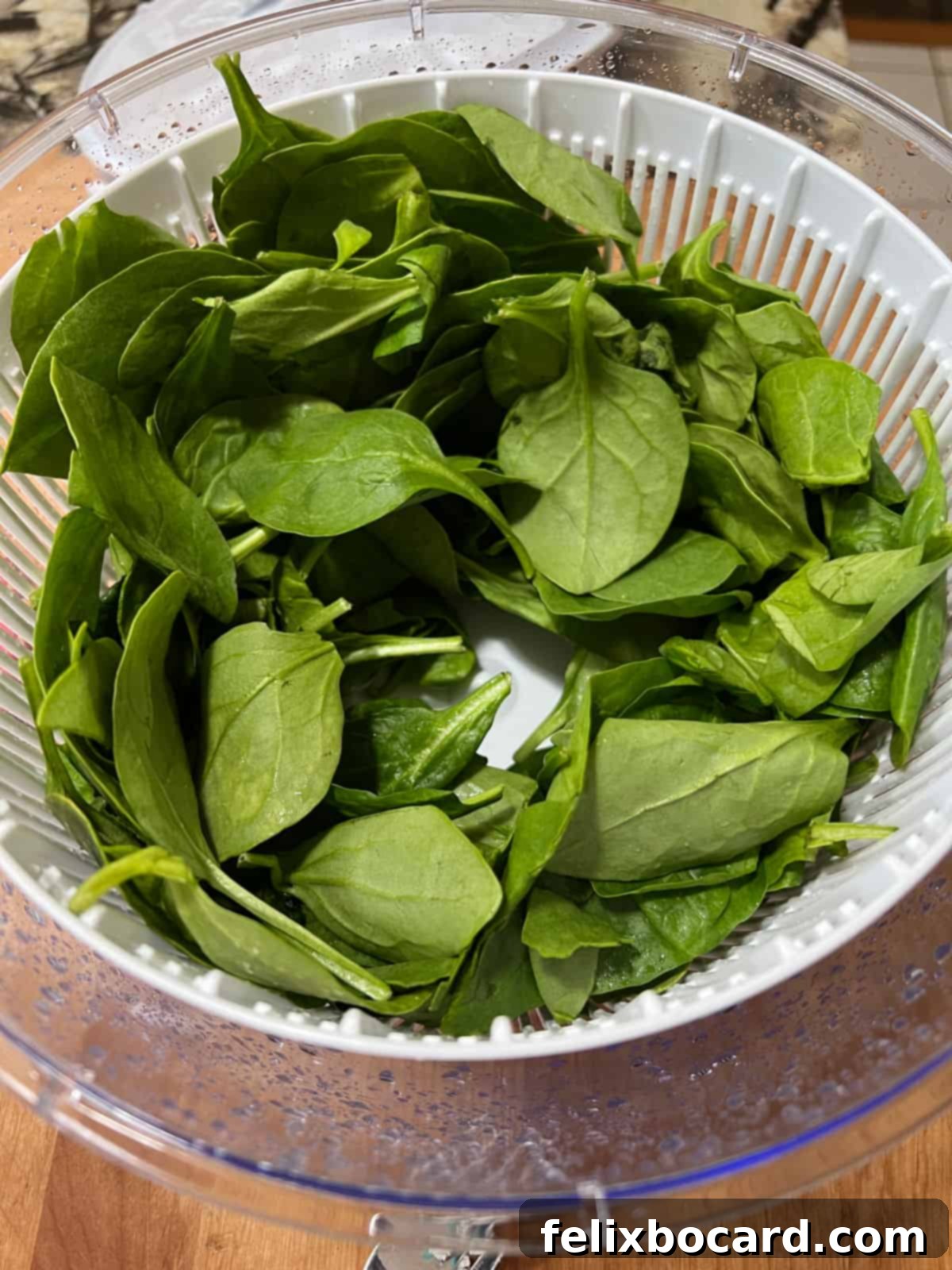 Spinach in a salad spinner.