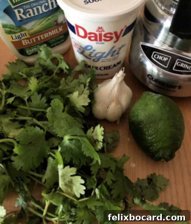 Cilantro-Lime Sauce 2 ingredients for sauce