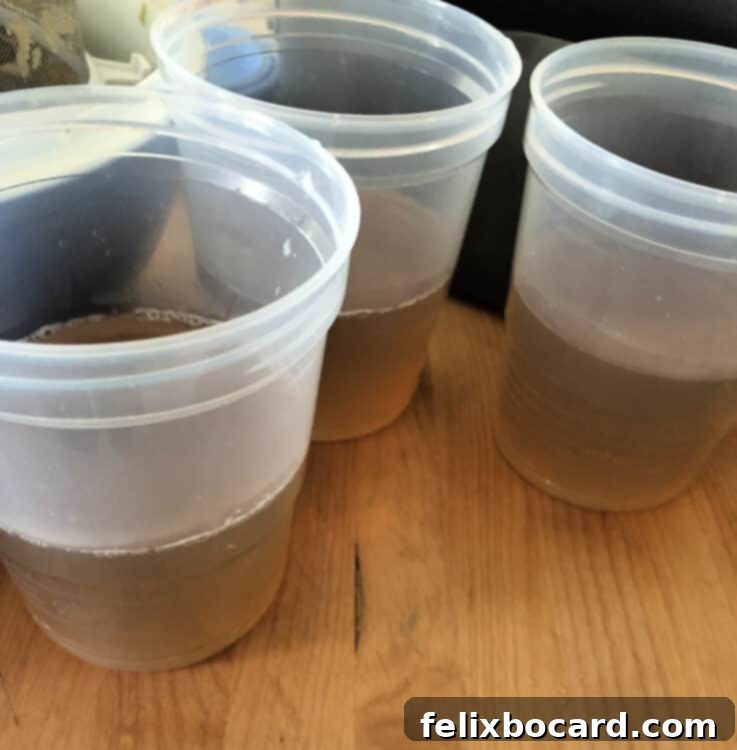 Plastic jars half-filled with vegetable broth, ready for the freezer.