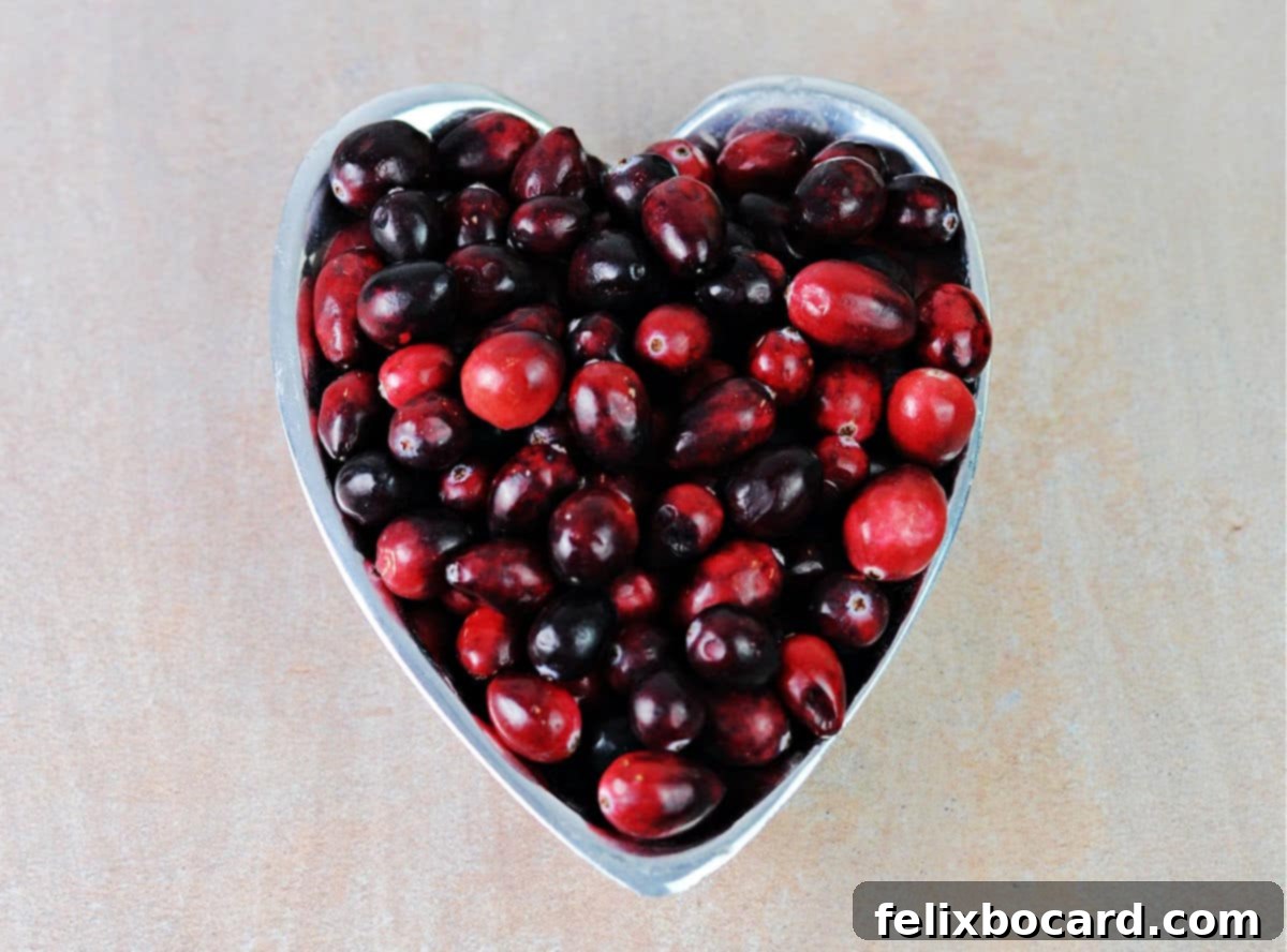 More Than Twenty Dried Cranberry Creations 2 A heart-shaped bowl brimming with dried cranberries, symbolizing love for this versatile fruit.