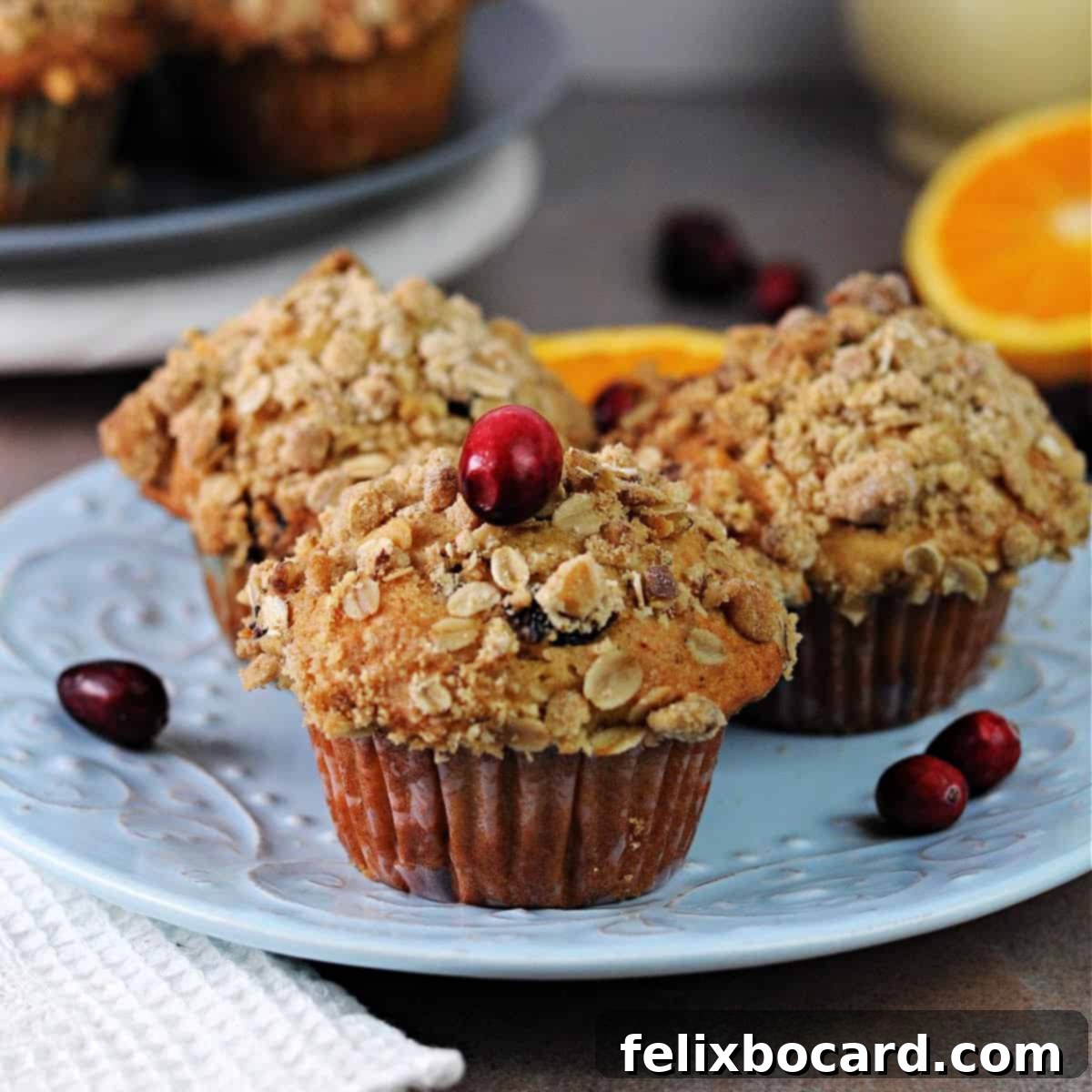 More Than Twenty Dried Cranberry Creations 19 Fluffy Cranberry Walnut Muffins with a delightful streusel topping.
