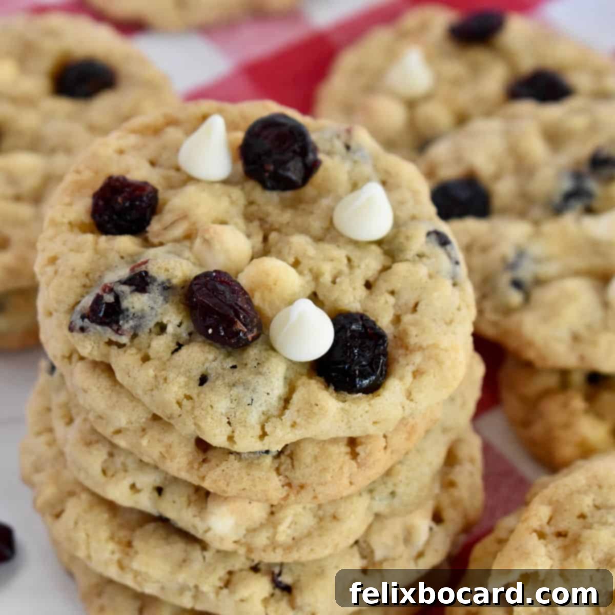 More Than Twenty Dried Cranberry Creations 20 A pile of freshly baked oatmeal craisin cookies, showcasing their chewy texture and studded with dried cranberries.